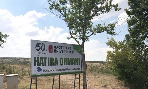 50. Yıl Hatıra Ormanı