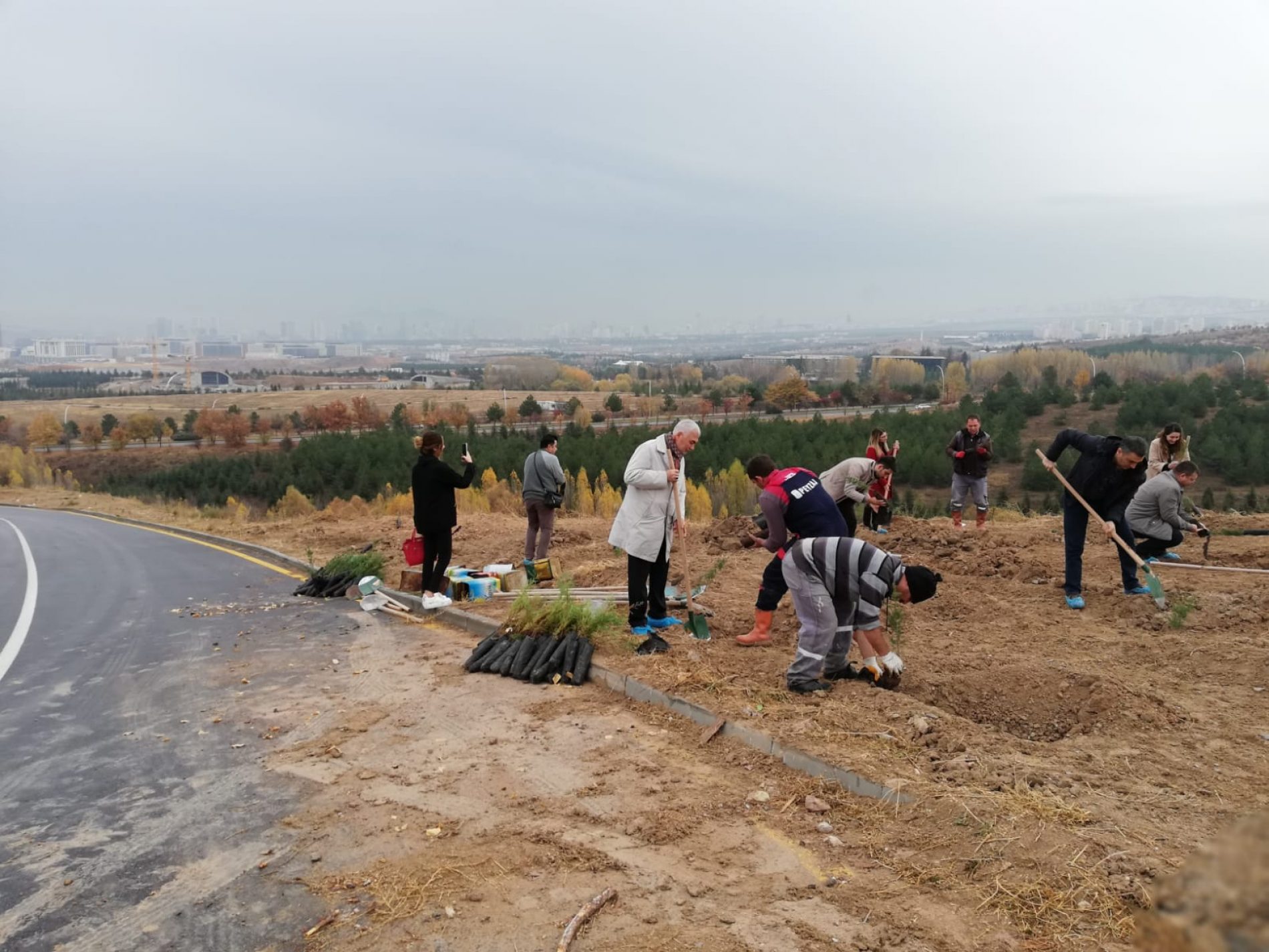 HÜ Ormanı HÜMED Fidan Dikme Etkinliği 2019 Yapıldı