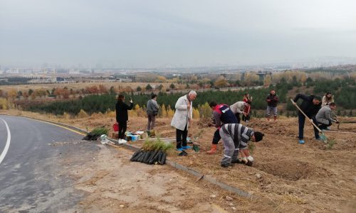 HÜ Ormanı HÜMED Fidan Dikme Etkinliği 2019 Yapıldı