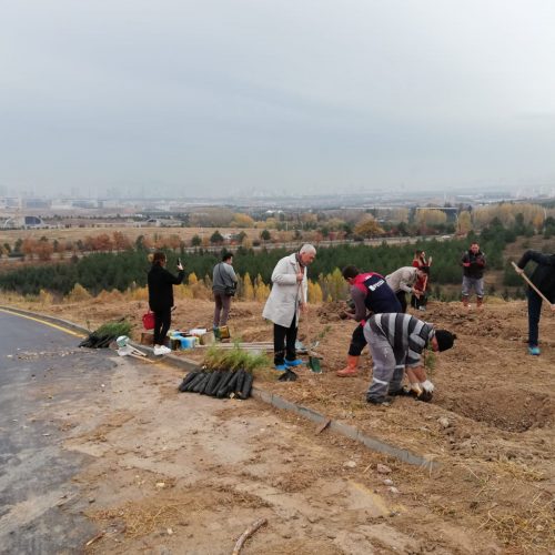 HÜ Ormanı HÜMED Fidan Dikme Etkinliği 2019 Yapıldı