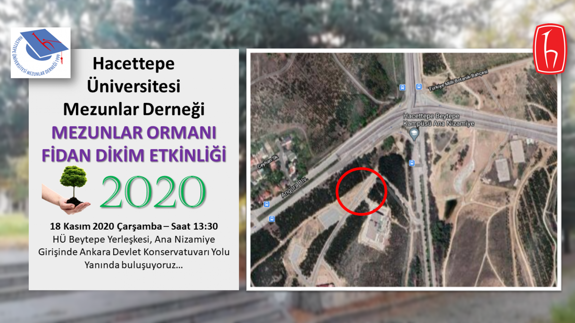 HÜ MEZUNLAR ORMANI FİDAN DİKİM ETKİNLİĞİ 2020