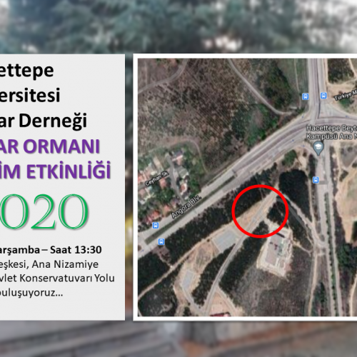 HÜ MEZUNLAR ORMANI FİDAN DİKİM ETKİNLİĞİ 2020